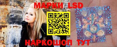 гидропоника Будённовск