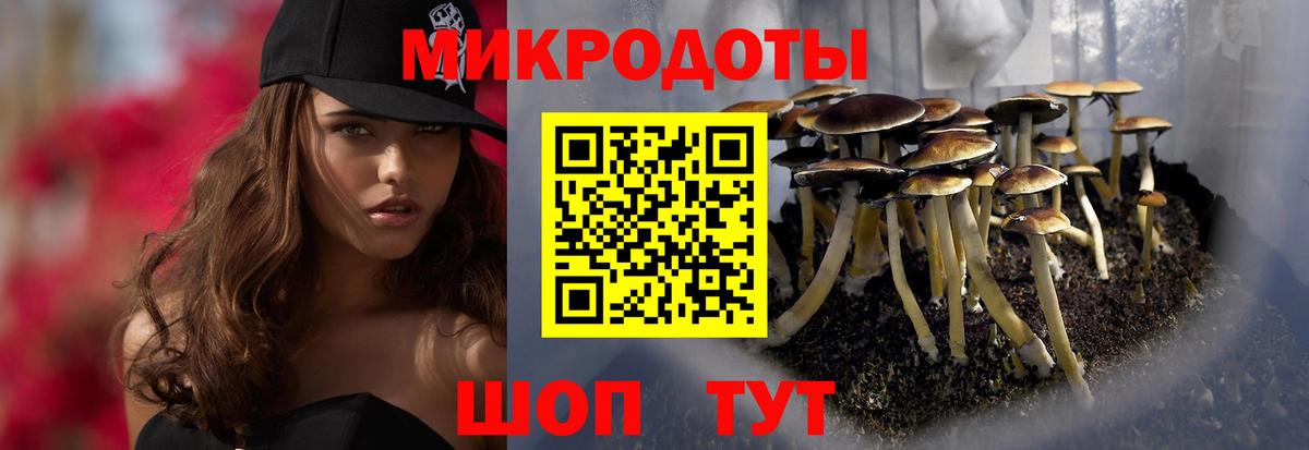 Псилоцибиновые грибы Magic Shrooms  Вход с VPN  цены наркотик  Киржач 